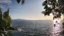 ./images/koeye/fitz-hugh/20250620/fitz-hugh20250620_194009M.jpg