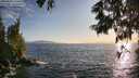 ./images/koeye/fitz-hugh/20250620/fitz-hugh20250620_194508M.jpg
