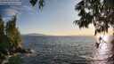./images/koeye/fitz-hugh/20250620/fitz-hugh20250620_195009M.jpg
