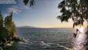 ./images/koeye/fitz-hugh/20250620/fitz-hugh20250620_195509M.jpg