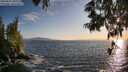 ./images/koeye/fitz-hugh/20250620/fitz-hugh20250620_200509M.jpg