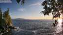 ./images/koeye/fitz-hugh/20250620/fitz-hugh20250620_202009M.jpg