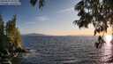 ./images/koeye/fitz-hugh/20250620/fitz-hugh20250620_202509M.jpg