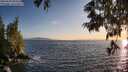 ./images/koeye/fitz-hugh/20250620/fitz-hugh20250620_203508M.jpg