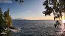 ./images/koeye/fitz-hugh/20250620/fitz-hugh20250620_204009M.jpg