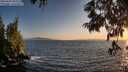 ./images/koeye/fitz-hugh/20250620/fitz-hugh20250620_205507M.jpg