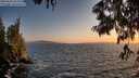./images/koeye/fitz-hugh/20250620/fitz-hugh20250620_212008M.jpg