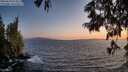 ./images/koeye/fitz-hugh/20250620/fitz-hugh20250620_213509M.jpg