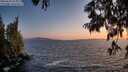 ./images/koeye/fitz-hugh/20250620/fitz-hugh20250620_214007M.jpg