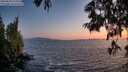 ./images/koeye/fitz-hugh/20250620/fitz-hugh20250620_215507M.jpg