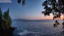 ./images/koeye/fitz-hugh/20250620/fitz-hugh20250620_222008M.jpg
