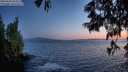 ./images/koeye/fitz-hugh/20250620/fitz-hugh20250620_222508M.jpg