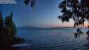 ./images/koeye/fitz-hugh/20250620/fitz-hugh20250620_224009M.jpg