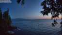 ./images/koeye/fitz-hugh/20250620/fitz-hugh20250620_224509M.jpg