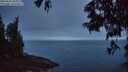 ./images/koeye/fitz-hugh/20250621/fitz-hugh20250621_044008M.jpg