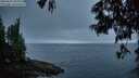 ./images/koeye/fitz-hugh/20250621/fitz-hugh20250621_045008M.jpg