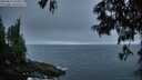 ./images/koeye/fitz-hugh/20250621/fitz-hugh20250621_045509M.jpg