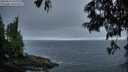 ./images/koeye/fitz-hugh/20250621/fitz-hugh20250621_050010M.jpg