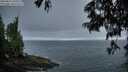 ./images/koeye/fitz-hugh/20250621/fitz-hugh20250621_050509M.jpg