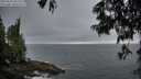 ./images/koeye/fitz-hugh/20250621/fitz-hugh20250621_051509M.jpg