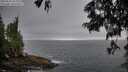 ./images/koeye/fitz-hugh/20250621/fitz-hugh20250621_053009M.jpg