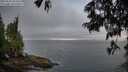 ./images/koeye/fitz-hugh/20250621/fitz-hugh20250621_054508M.jpg