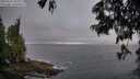 ./images/koeye/fitz-hugh/20250621/fitz-hugh20250621_055008M.jpg