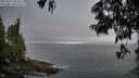 ./images/koeye/fitz-hugh/20250621/fitz-hugh20250621_055509M.jpg