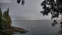 ./images/koeye/fitz-hugh/20250621/fitz-hugh20250621_060010M.jpg