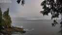./images/koeye/fitz-hugh/20250621/fitz-hugh20250621_061510M.jpg