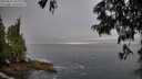 ./images/koeye/fitz-hugh/20250621/fitz-hugh20250621_070010M.jpg