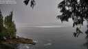 ./images/koeye/fitz-hugh/20250621/fitz-hugh20250621_071010M.jpg