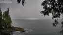./images/koeye/fitz-hugh/20250621/fitz-hugh20250621_072011M.jpg