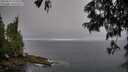 ./images/koeye/fitz-hugh/20250621/fitz-hugh20250621_072510M.jpg