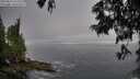 ./images/koeye/fitz-hugh/20250621/fitz-hugh20250621_074511M.jpg