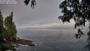 ./images/koeye/fitz-hugh/20250621/fitz-hugh20250621_080510M.jpg