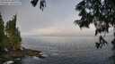./images/koeye/fitz-hugh/20250621/fitz-hugh20250621_081010M.jpg