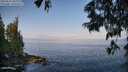 ./images/koeye/fitz-hugh/20250621/fitz-hugh20250621_083010M.jpg