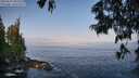 ./images/koeye/fitz-hugh/20250621/fitz-hugh20250621_083511M.jpg