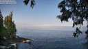 ./images/koeye/fitz-hugh/20250621/fitz-hugh20250621_084010M.jpg