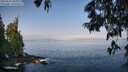 ./images/koeye/fitz-hugh/20250621/fitz-hugh20250621_085009M.jpg