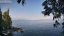 ./images/koeye/fitz-hugh/20250621/fitz-hugh20250621_085509M.jpg