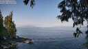 ./images/koeye/fitz-hugh/20250621/fitz-hugh20250621_090011M.jpg