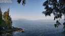./images/koeye/fitz-hugh/20250621/fitz-hugh20250621_090509M.jpg