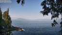 ./images/koeye/fitz-hugh/20250621/fitz-hugh20250621_091010M.jpg