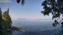 ./images/koeye/fitz-hugh/20250621/fitz-hugh20250621_093012M.jpg