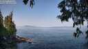 ./images/koeye/fitz-hugh/20250621/fitz-hugh20250621_094511M.jpg