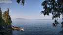 ./images/koeye/fitz-hugh/20250621/fitz-hugh20250621_095509M.jpg