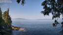 ./images/koeye/fitz-hugh/20250621/fitz-hugh20250621_100011M.jpg