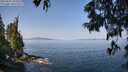 ./images/koeye/fitz-hugh/20250621/fitz-hugh20250621_103509M.jpg